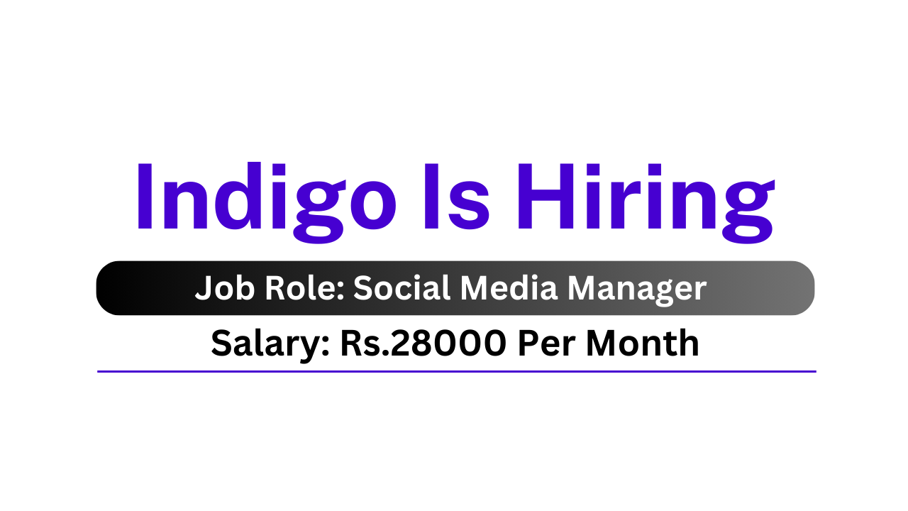 Indigo Is Hiring