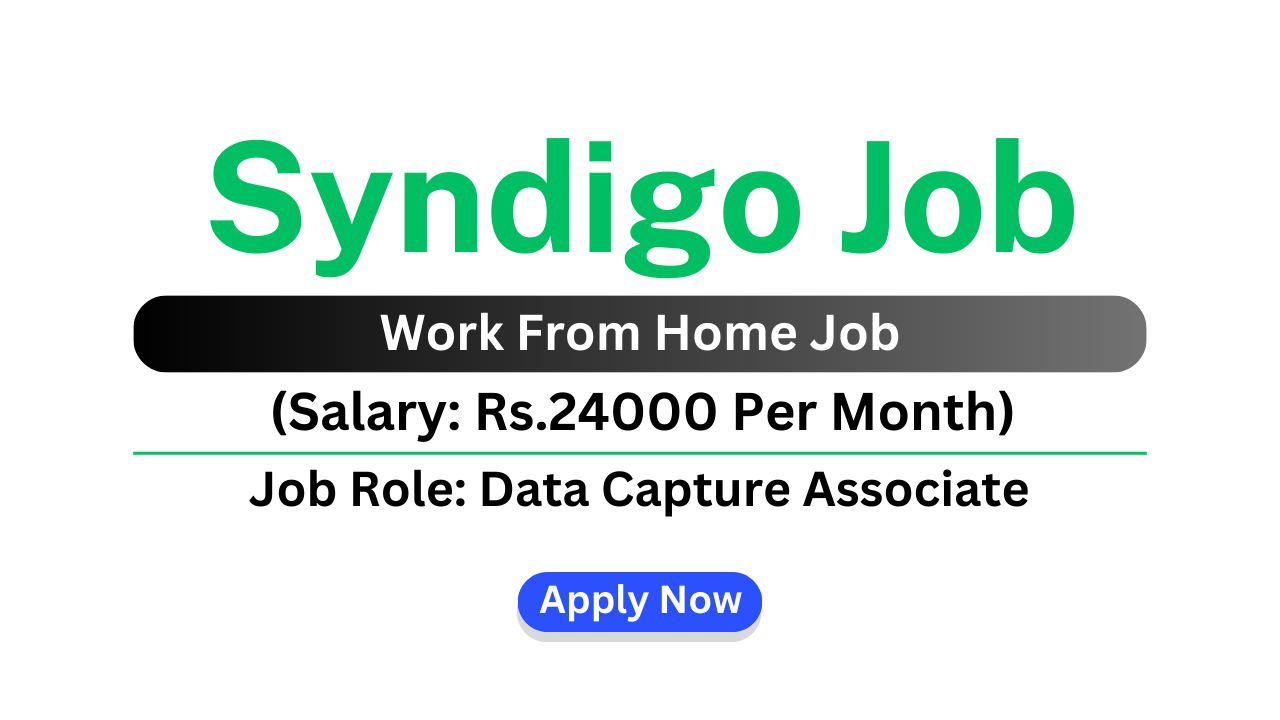 Syndigo Job