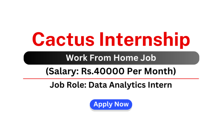 Cactus Internship